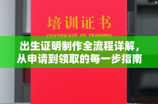 苏仙出生证明制作全流程详解，从申请到领取的每一步指南